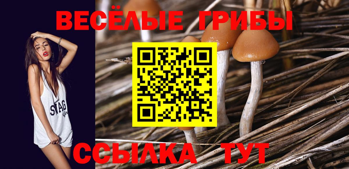 Псилоцибиновые грибы Psilocybe  Галлюциногенные грибы прущие грибы  Вход с VPN  Нижнеудинск 